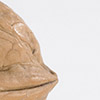 ccunger